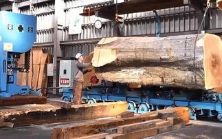 木工锯发展史与板式开料设备的未来方向